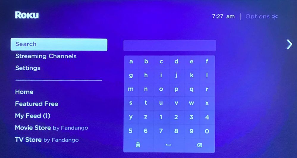 Roku search bar