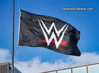 What Channel is WWE Network on DirecTV.